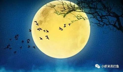 那时中秋月正圆（这次换我走向你）,那时中秋，我走向你