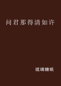 问厨哪来清如许,探寻美食之源的奥秘