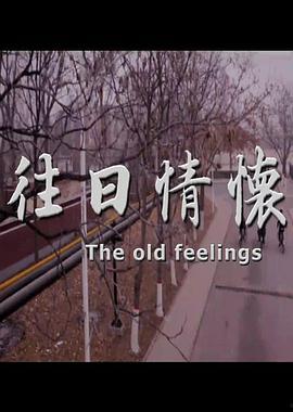 往日情怀,重温岁月流转中的温馨回忆