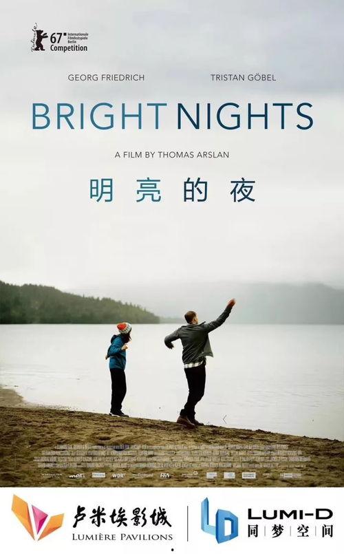 明亮的夜,璀璨夜空下的诗意漫步