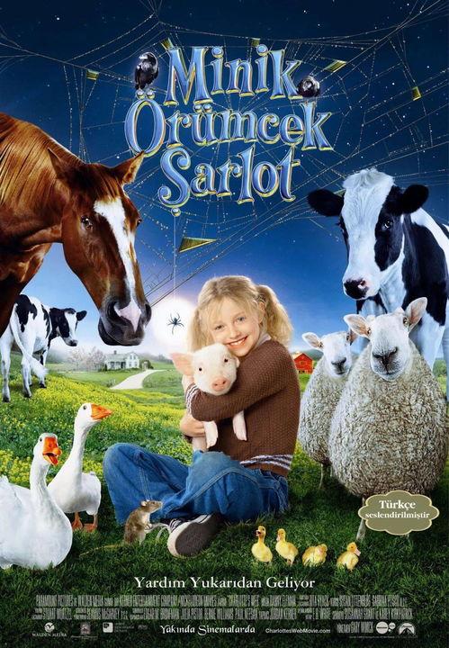 汤姆·格林：我有一头骡子！,汤姆·格林的奇妙骡子冒险之旅